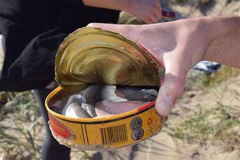 the smelliest fish in the world|Sweden’s Surströmming: The ‘Try It If You Dare’ Delicacy